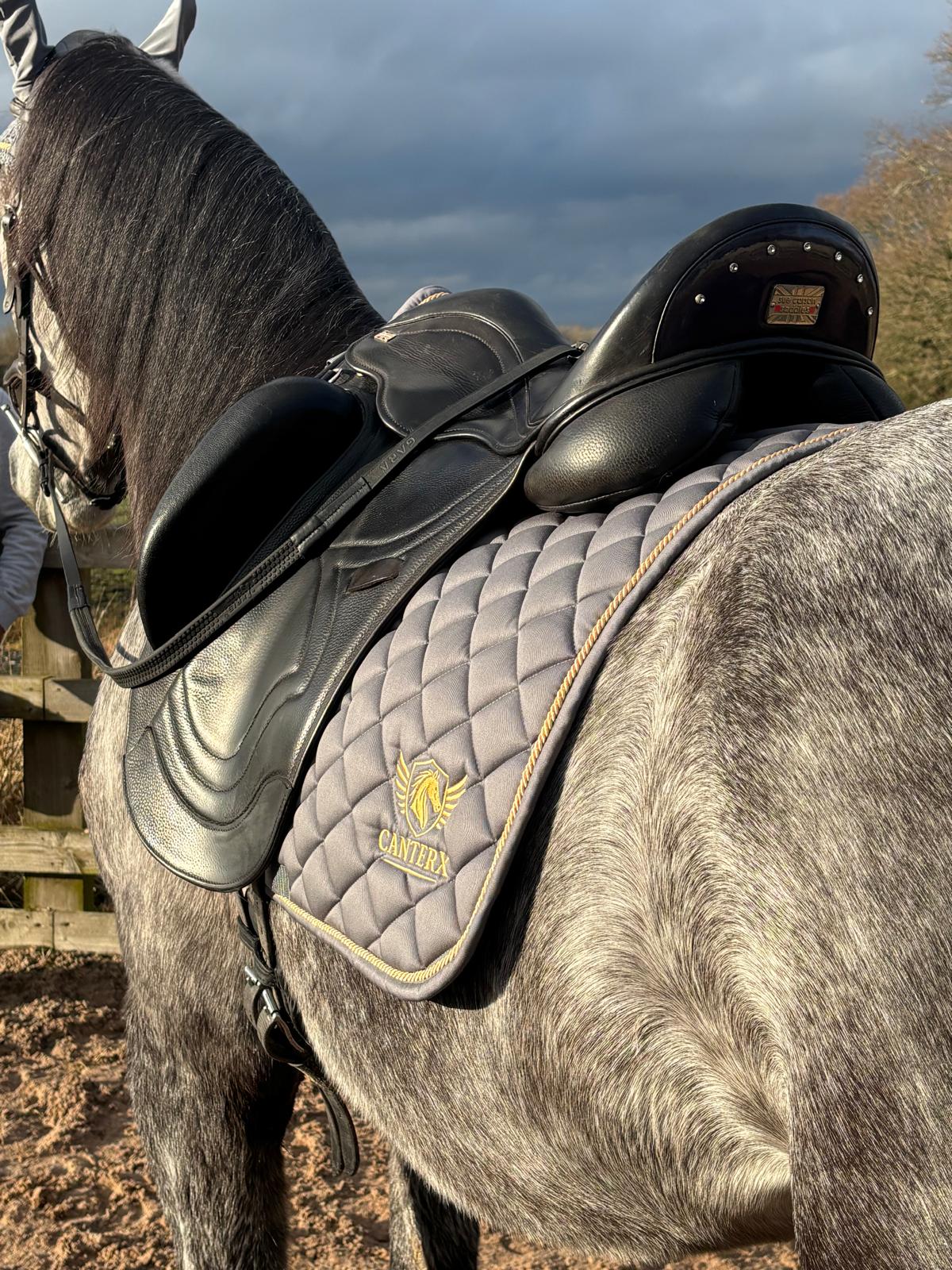 CanterX Performance Saddle Pad
