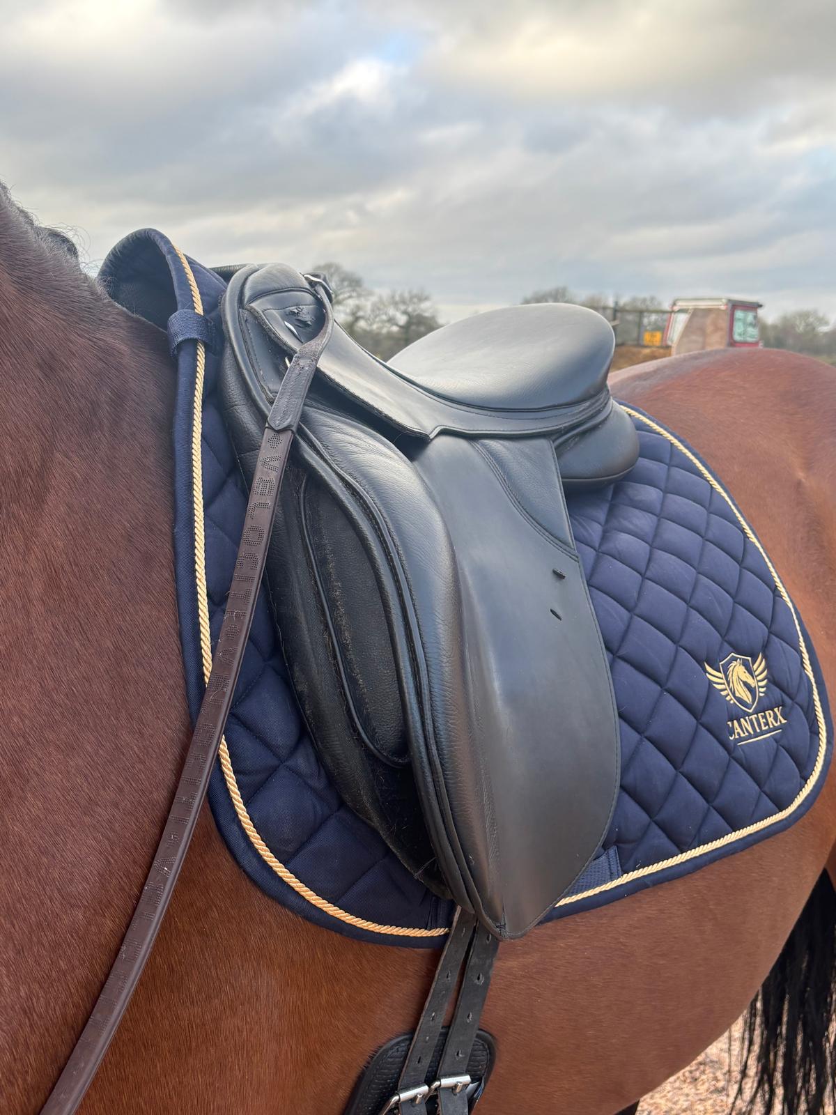 CanterX Performance Saddle Pad