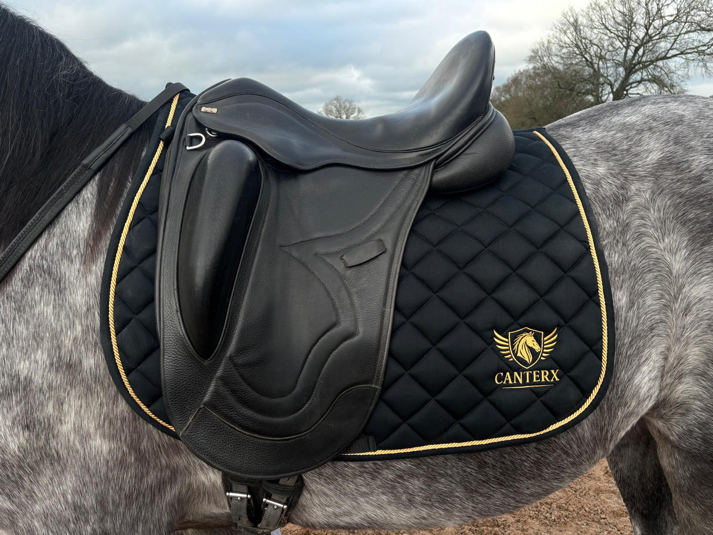 CanterX Performance Saddle Pad