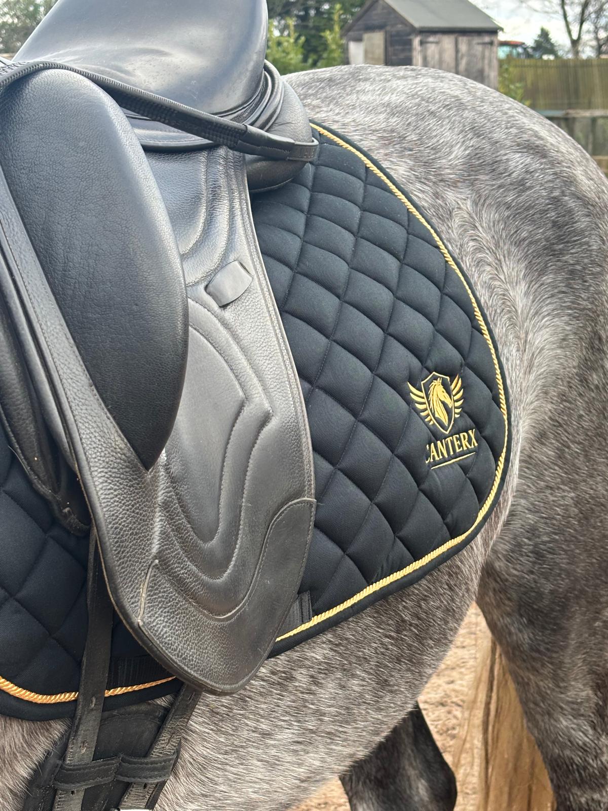 CanterX Performance Saddle Pad